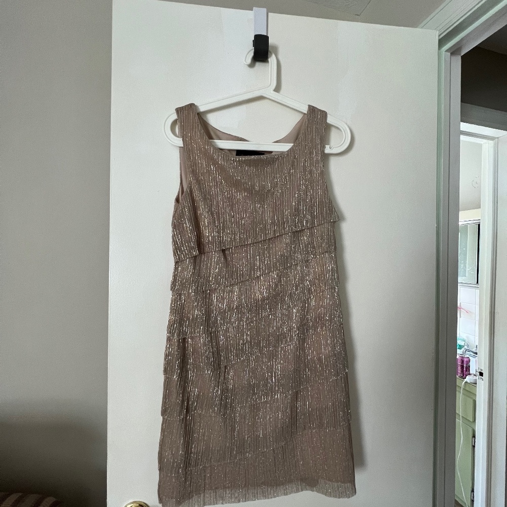 Gold/Silver Dress